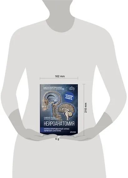 Нейроанатомия. Иллюстрированный атлас нервной системы - фото 4