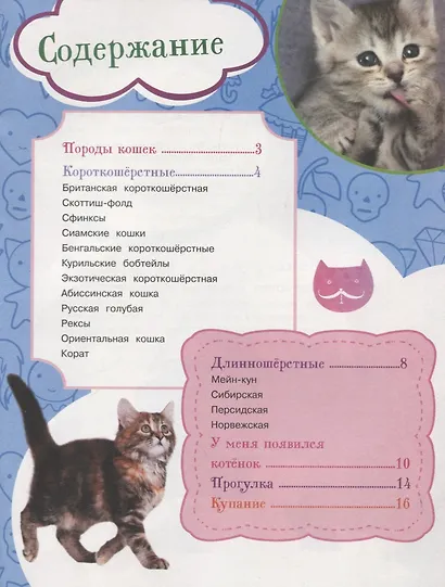 Как воспитать котенка + наклейки внутри - фото 2