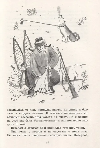 Белогрудка - фото 4