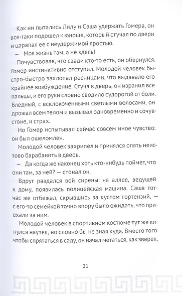 Гомер Пим и секрет Одиссея - фото 3