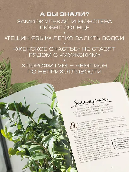 Секреты комнатных джунглей. О чем молчат растения и как понять, что им нужно на самом деле - фото 7