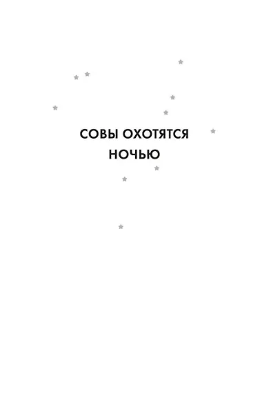 Совы охотятся ночью - фото 11