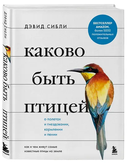 Каково быть птицей: о полетах и гнездовании, кормлении и пении. Как и чем живут самые известные птицы на земле - фото 3