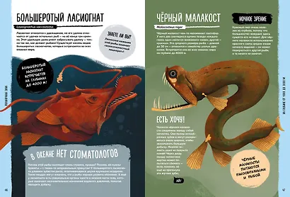 Мир вокруг тебя. Тайны мирового океана - фото 7