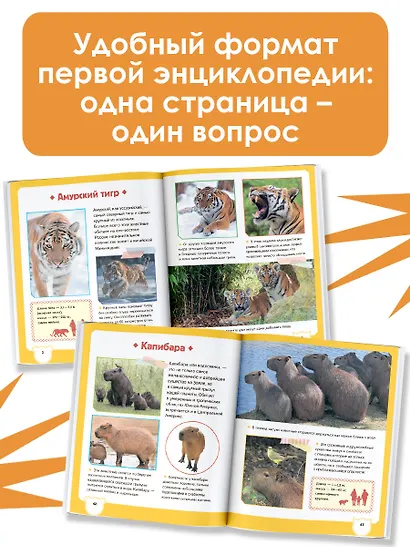 Животные - фото 6