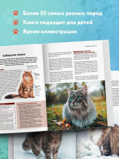 Самые известные породы. КОШКИ. Большая иллюстрированная энциклопедия - фото 6