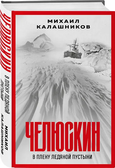 Челюскин. В плену ледяной пустыни - фото 3