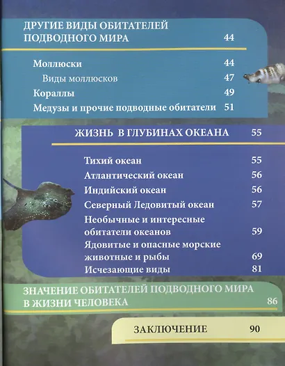Подводный мир - фото 3
