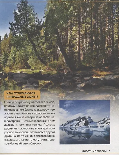 Животные России. Детская энциклопедия - фото 5