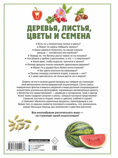 Деревья, листья, цветы и семена - фото 2