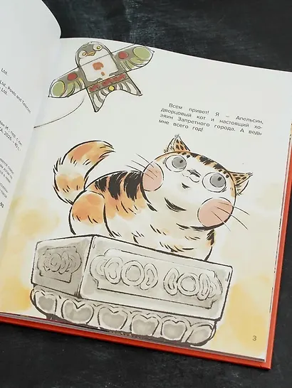 Кот Апельсин в Запретном городе. Книга 1. Игрушка дракона - фото 13