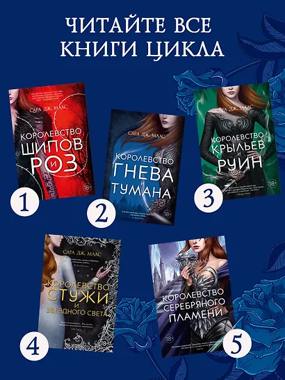 Королевство гнева и тумана - фото 6