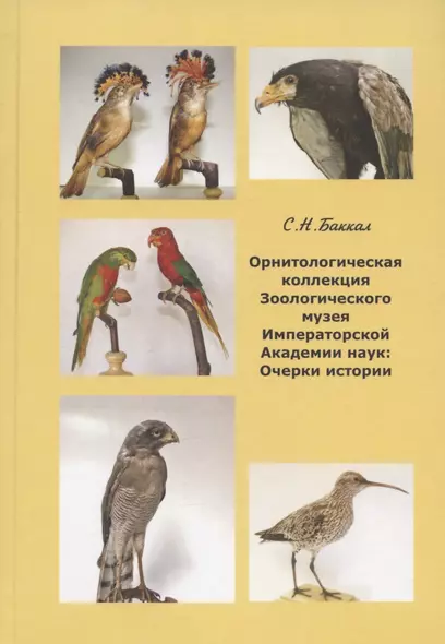 Орнитологическая коллекция Зоологического музея Императорской Академии наук: очерки истории - фото 1