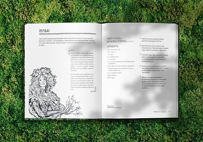 Рецепты Средиземья. Кулинарная книга по миру Толкина - фото 10