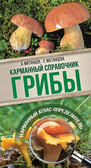 Грибы. Карманный справочник-определитель - фото 1