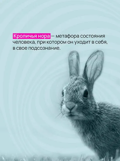 Вниз по кроличьей норе - фото 5