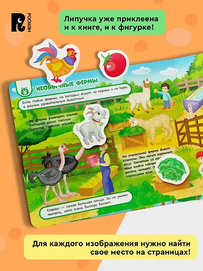 На ферме. Книга с липучками - фото 5