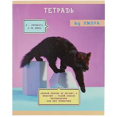 Тетрадь в клетку Listoff, "Редкий и пушистый", 48 листов, в ассортименте - фото 5