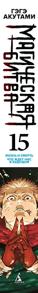 Магическая битва. Книга 15 (Том 29, 30) - Жизнь и смерть. Что ждет нас в будущем (Jujutsu Kaisen). Манга - фото 12