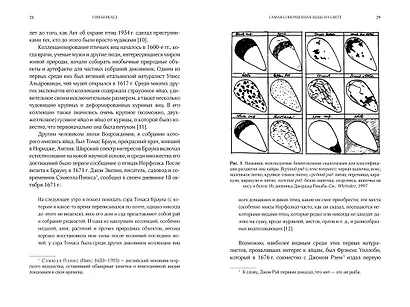 Самая совершенная вещь на свете: Внутри и снаружи птичьего яйца - фото 2