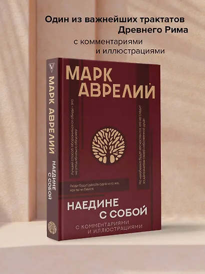 Наедине с собой: с комментариями и иллюстрациями - фото 3