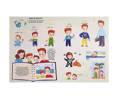 Как я расту. Энциклопедия с окошками. 86 окошек с секретами - фото 3