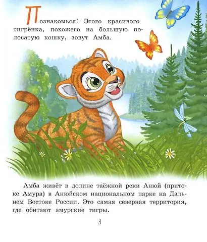 О тигрёнке Амбе и его друзьях: для занятий с детьми дошкольного возраста - фото 2