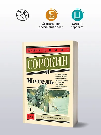 Метель - фото 3