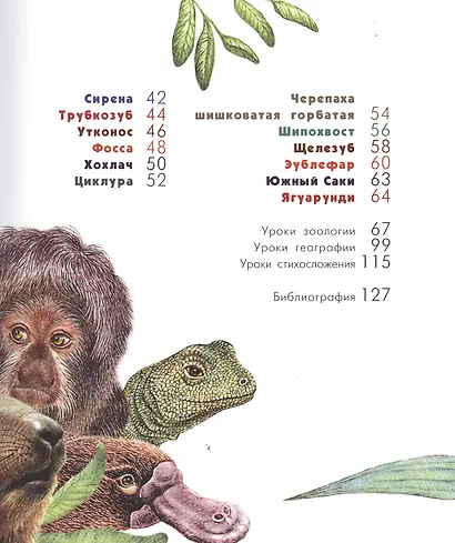 Азбука диковинных зверей: Для взрослых и детей - фото 3