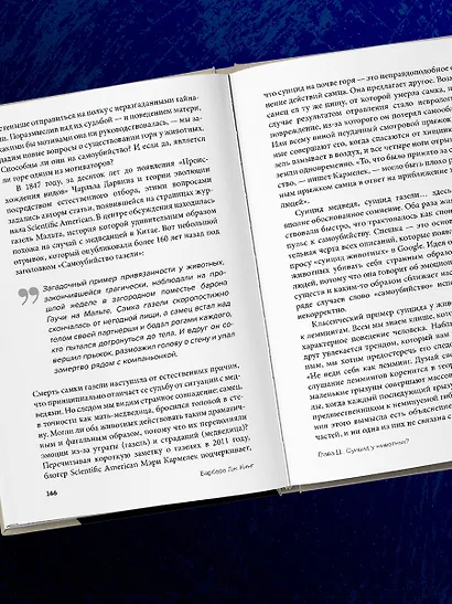 Как животные скорбят. Что чувствуют кошки, слоны, дельфины и другие, теряя близких - фото 9
