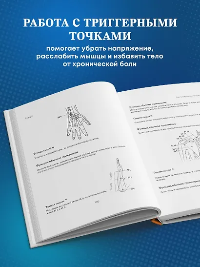 Акупунктура. Практическое руководство по функциональной проработке более 400 триггерных точек - фото 5