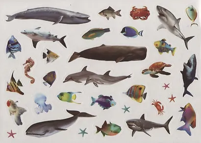 111 наклеек. Морские животные - фото 4