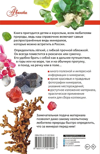 Минералы России. Определитель - фото 2