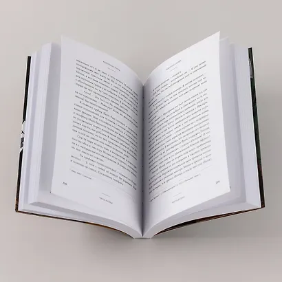 Высохшее сердце: роман - фото 13