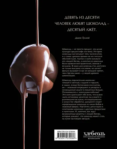 Шоколадный сомелье. Удивительное путешествие в мир шоколада - фото 2