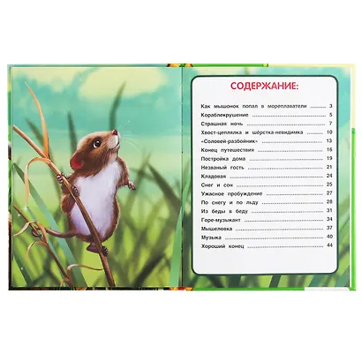 Мышонок Пик - фото 2