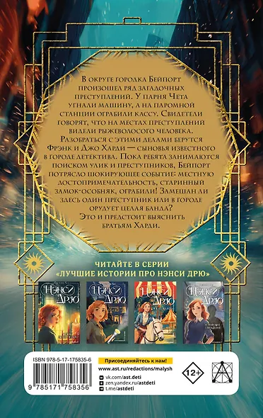 Братья Харди и сокровища башни - фото 2