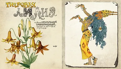 Книга, найденная в кувшинке - фото 5