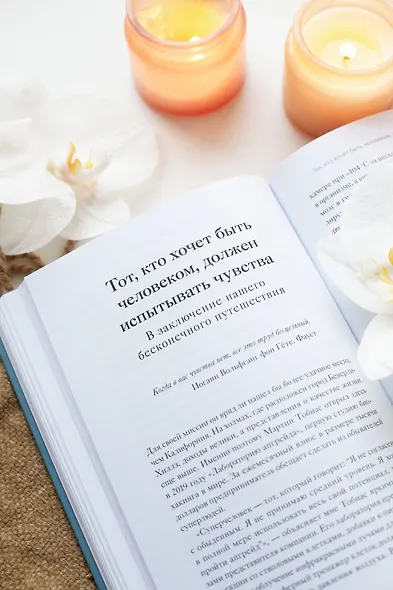 Что делает нас людьми. Как понимать свои эмоции и принимать их - фото 9