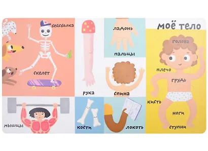 Мои первые 100 слов с большими окошками. Мое тело - фото 2