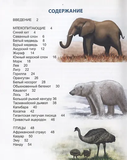 Гиганты животного мира. Энциклопедия - фото 2