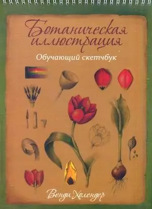 Ботаническая иллюстрация: обучающий скетчбук - фото 1