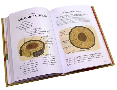 Анатомия природы. Занимательные детали мира природы - фото 7