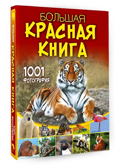 Большая красная книга. 1001 фотография - фото 3