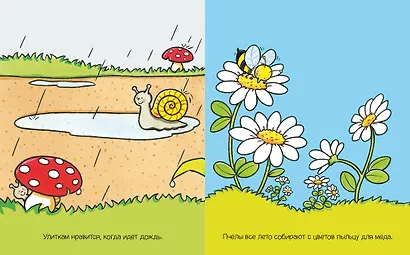 На полянке - фото 4