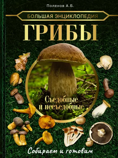 Большая энциклопедия. Грибы. Съедобные и несъедобные. Собираем и готовим - фото 1