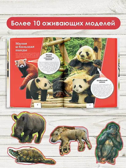 Животные. Твоя первая энциклопедия с дополненной реальностью - фото 4