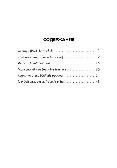 Птичьи дети - фото 2