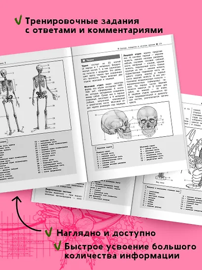 Биология. Наглядный справочник для подготовки к ОГЭ и ЕГЭ - фото 4