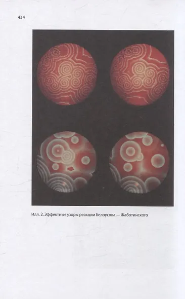 Закономерности в природе: самотканный ковер (в трех частях). Формы - фото 3